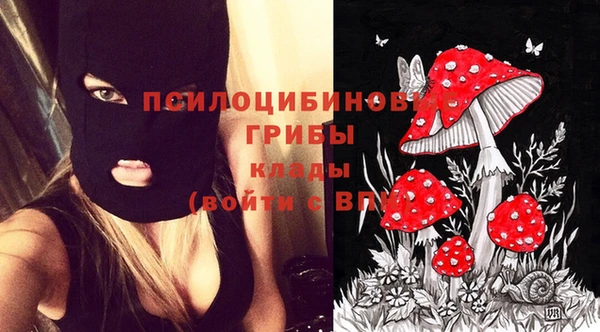 mix Надым