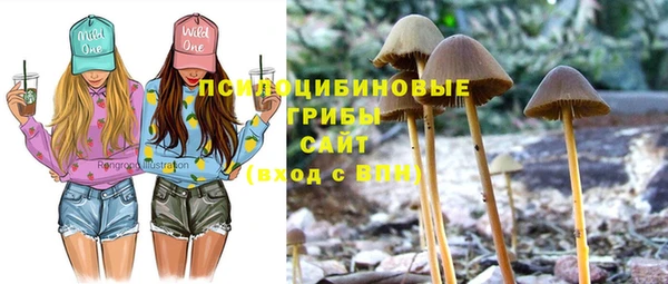 стаф Нефтекумск