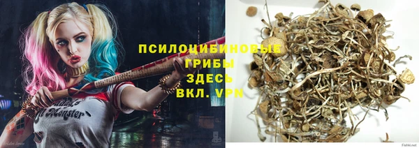 стаф Нефтекумск