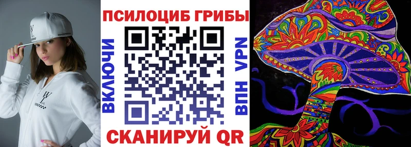 где купить наркотик  Лесозаводск  Псилоцибиновые грибы Psilocybine cubensis 