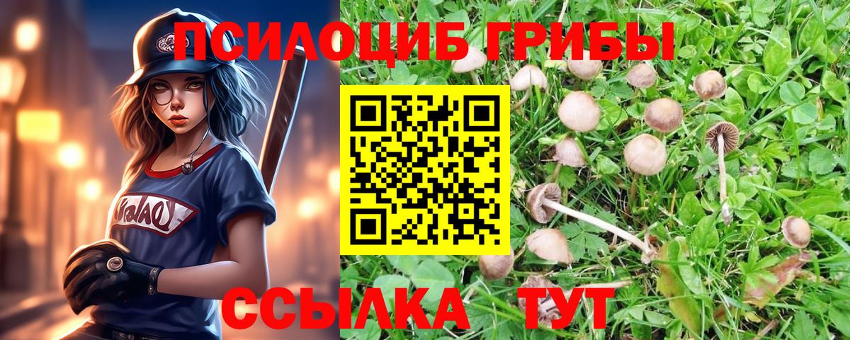 Лесозаводск  Галлюциногенные грибы Psilocybe  Галлюциногенные грибы прущие грибы  Вход с VPN 