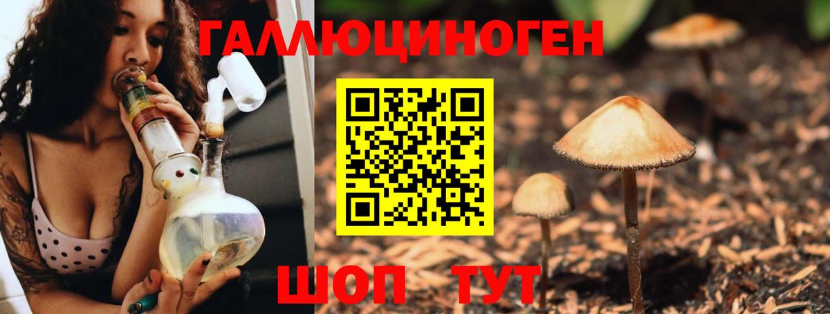 Псилоцибиновые грибы Magic Shrooms Лесозаводск